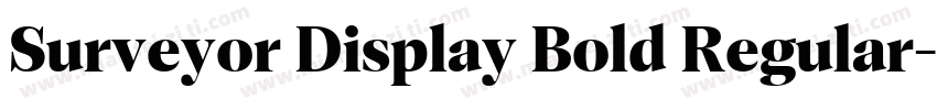 Surveyor Display Bold Regular字体转换